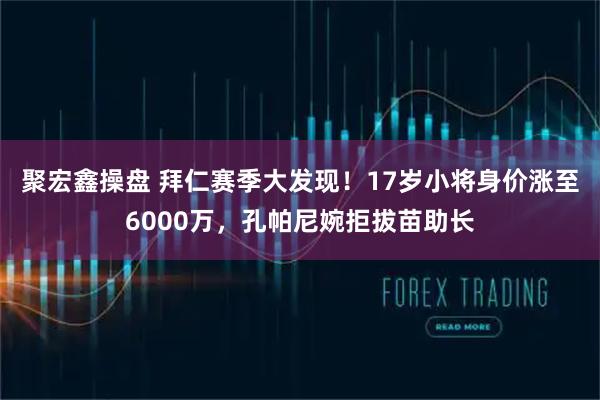 聚宏鑫操盘 拜仁赛季大发现!17岁小将身价涨至6000万,孔帕尼婉拒拔苗助长
