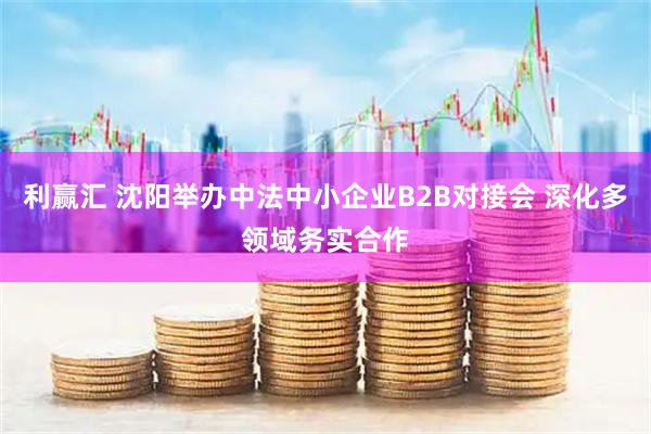 利赢汇 沈阳举办中法中小企业B2B对接会 深化多领域务实合作
