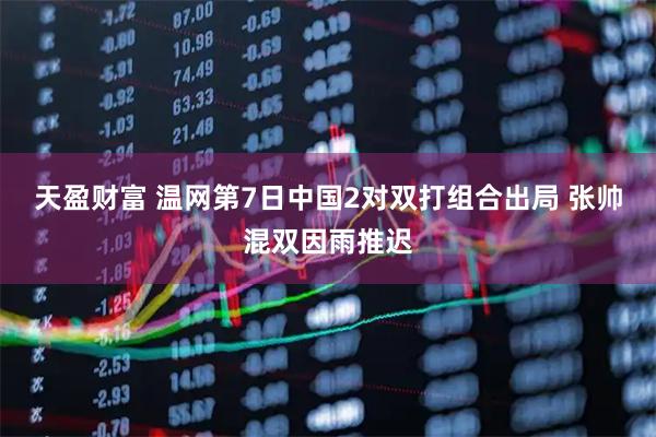 天盈财富 温网第7日中国2对双打组合出局 张帅混双因雨推迟