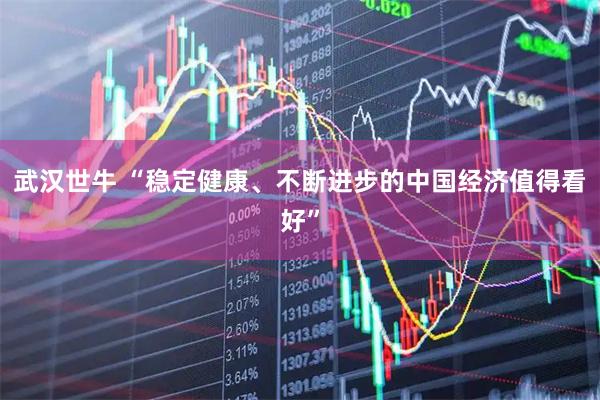 武汉世牛 “稳定健康、不断进步的中国经济值得看好”