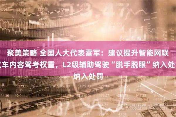 聚美策略 全国人大代表雷军：建议提升智能网联汽车内容驾考权重，L2级辅助驾驶“脱手脱眼”纳入处罚